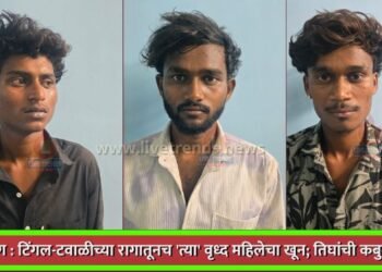 ब्रेकींग : टिंगल-टवाळीच्या रागातूनच ‘त्या’ वृध्द महिलेचा खून; तिघांची कबुली !