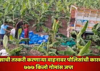 गोमांसाची तस्करी करणाऱ्या वाहनावर पोलिसांची कारवाई; ७७७ किलो गोमांस जप्त