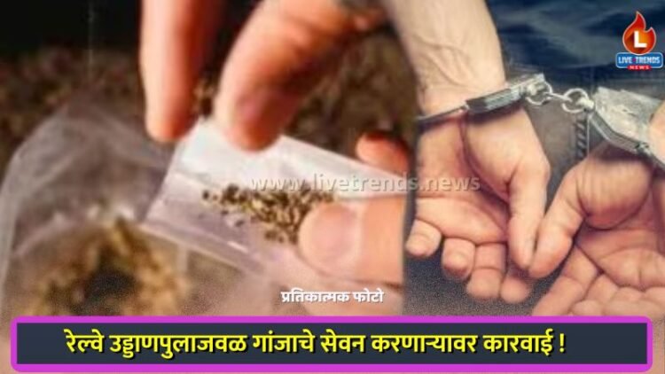रेल्वे उड्डाणपुलाजवळ गांजाचे सेवन करणाऱ्यावर कारवाई !