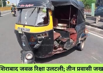 नशिराबाद जवळ रिक्षा उलटली; तीन प्रवासी जखमी
