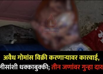 अवैध गोमांस विक्री करणाऱ्यावर कारवाई, पोलीसांशी धक्काबुक्की; तीन जणांवर गुन्हा दाखल