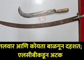 तलवार आणि कोयता बाळगून दहशत; एलसीबीकडून अटक