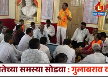 जनतेच्या समस्या सोडवा : गुलाबराव वाघ