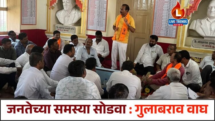 जनतेच्या समस्या सोडवा : गुलाबराव वाघ