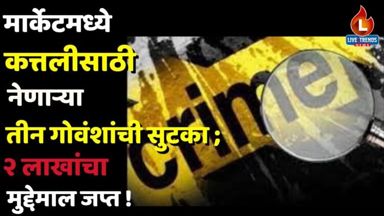 कत्तलीसाठी नेणाऱ्या तीन गोवंशांची सुटका ; २ लाखांचा मुद्देमाल जप्त !