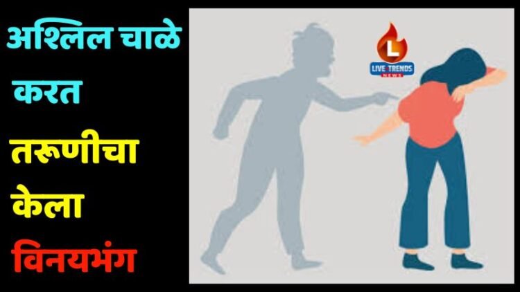 अश्लिल चाळे करत तरूणीचा केला विनयभंग