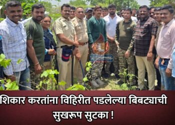 शिकार करतांना विहिरीत पडलेल्या बिबट्याची सुखरूप सुटका !