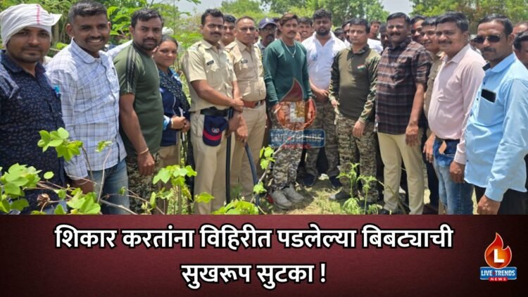 शिकार करतांना विहिरीत पडलेल्या बिबट्याची सुखरूप सुटका !