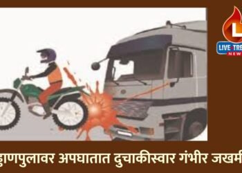 उड्डाणपुलावर अपघातात दुचाकीस्वार गंभीर जखमी