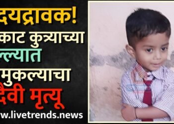 हृदयद्रावक! मोकाट कुत्र्याच्या हल्ल्यात चिमुकल्याचा दुदैवी मृत्यू