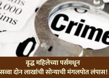 वृद्ध महिलेच्या पर्समधून सव्वा दोन लाखांची सोन्याची मंगलपोत लंपास!