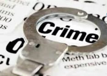 नशिराबादमध्ये अवैध गोमांस विक्रीवर पोलिसांची कारवाई; दोघांवर गुन्हा दाखल