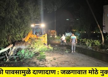 वादळी पावसामुळे दाणादाण : जळगावात मोठे नुकसान !