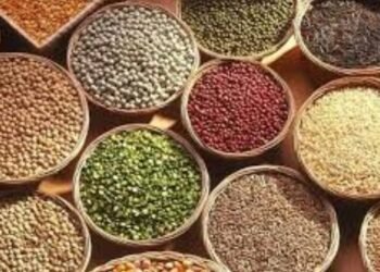 भरडधान्य खरेदीसाठी नोंदणीची मुदत १५ जूनपर्यंत वाढवली!