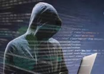 शेअर मार्केटमध्ये ‘बनावट’ नफा दाखवून महिलेची ९ लाखांची फसवणूक!