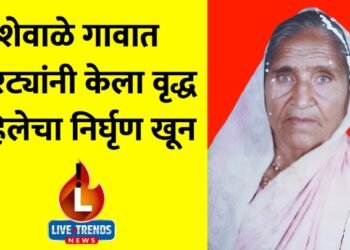 शेवाळे गावात चोरट्यांनी केला वृद्ध महिलेचा निर्घृण खून !