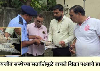 वन्यजीव संस्थेच्या सतर्कतेमुळे वाचले शिक्रा पक्ष्याचे प्राण
